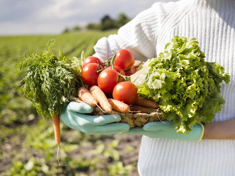 Embracing Nature's Bounty: Exploring the Benefits of Organic Products