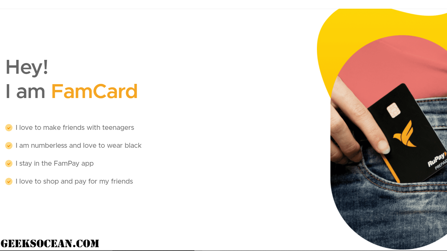 India's first official numberless card FAMPAY
