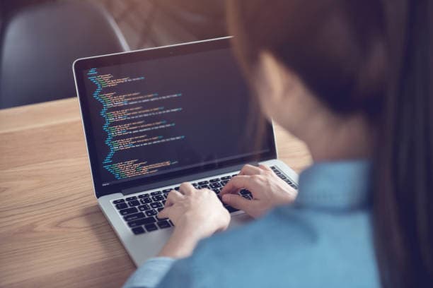 Programming Languages for Software Developers
