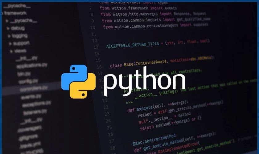 Python Assignment Help Online